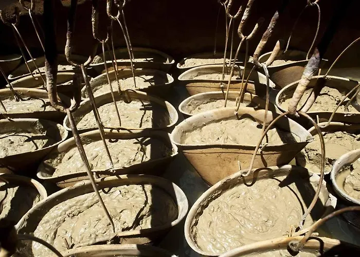 Svizzera Terme 4* Lacco Ameno (Isola d'Ischia)